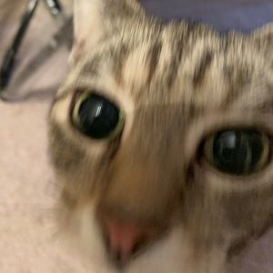 Meet your Posher, Sean